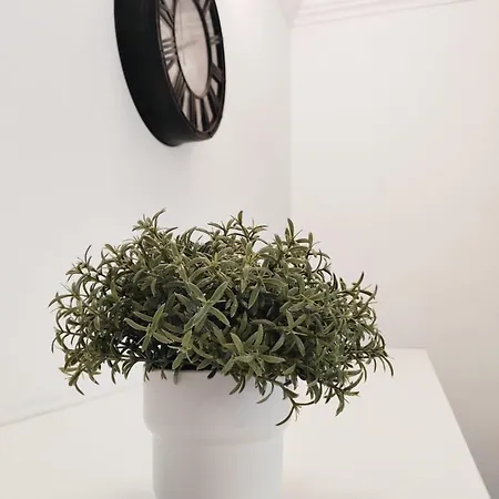 Appartement Casa Lulu *